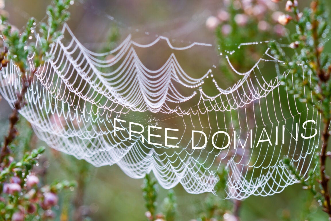 Free Domains Aren’t Free: Understanding the Hidden Costs