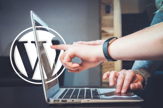 WordPress training
