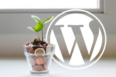 Can WordPress Run an eCommerce Online Store? Can WordPress Run an eCommerce Online Store?