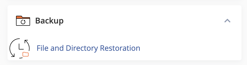 Website Backup and Restoration