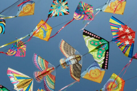Fly high as a kite