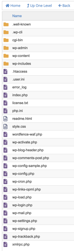 common WP file structure